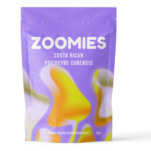 Costa Rican | Magic Mushrooms Montreal Canada