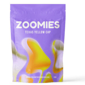 Texas Yellow Cap | Magic Mushrooms Montreal Canada
