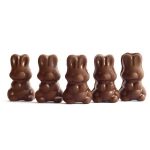 Alice - Mushroom Milk Chocolate - 2.5g | Magic Mushrooms Montreal Canada
