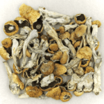 Orissa | Magic Mushrooms Montreal Canada