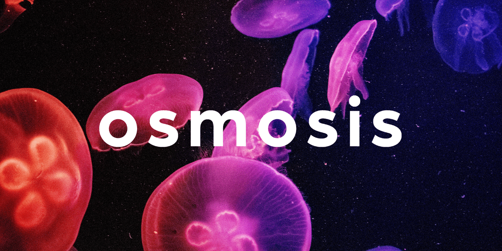 Zoomies osmosis banner | Magic Mushrooms Montreal Canada