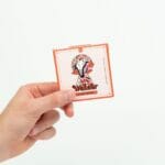 Wonder – Psilocybin Chocolate Bar – Blood Orange | Magic Mushrooms Montreal Canada