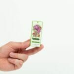 Wonder – Psilocybin Chocolate Bar – Dark Chocolate | Magic Mushrooms Montreal Canada
