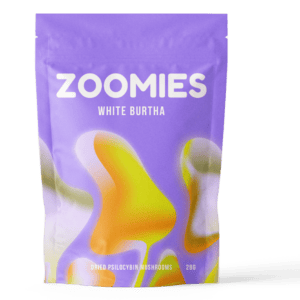 White Burtha | Magic Mushrooms Montreal Canada