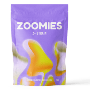 Z+ Strain | Magic Mushrooms Montreal Canada