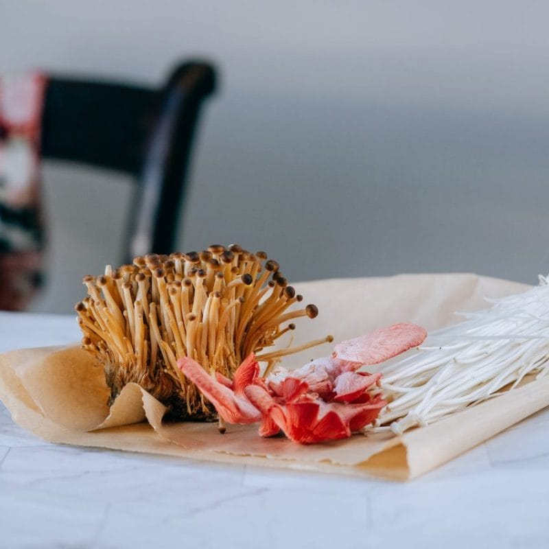 Buy Shrooms Online Canada (1) | Magic Mushrooms Montreal Canada