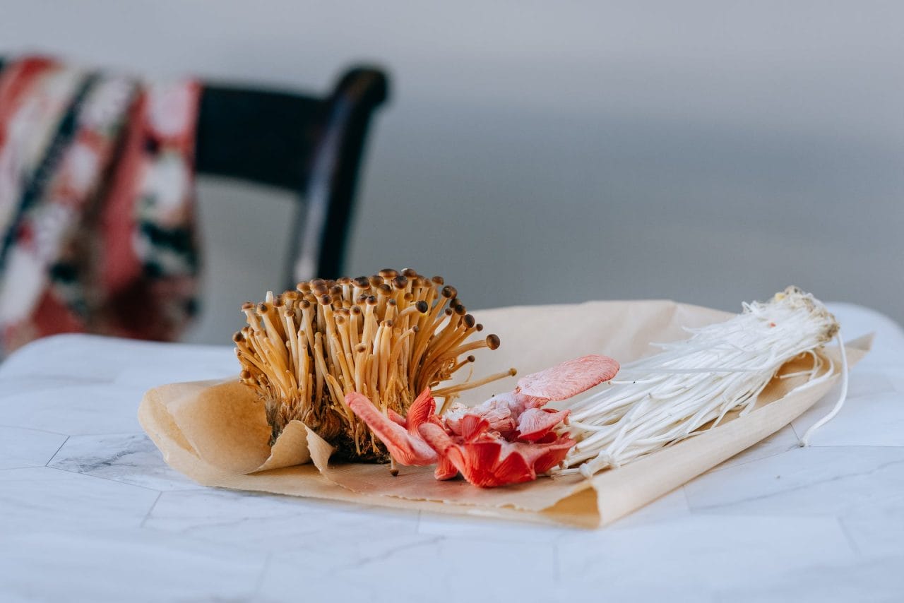 Purchase Mushrooms Online in Canada for Holiday Mushroom Recipes
