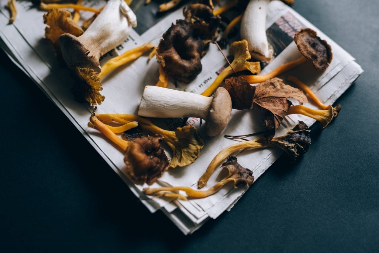 Do Mushrooms and Chocolate Make a Good Pair?