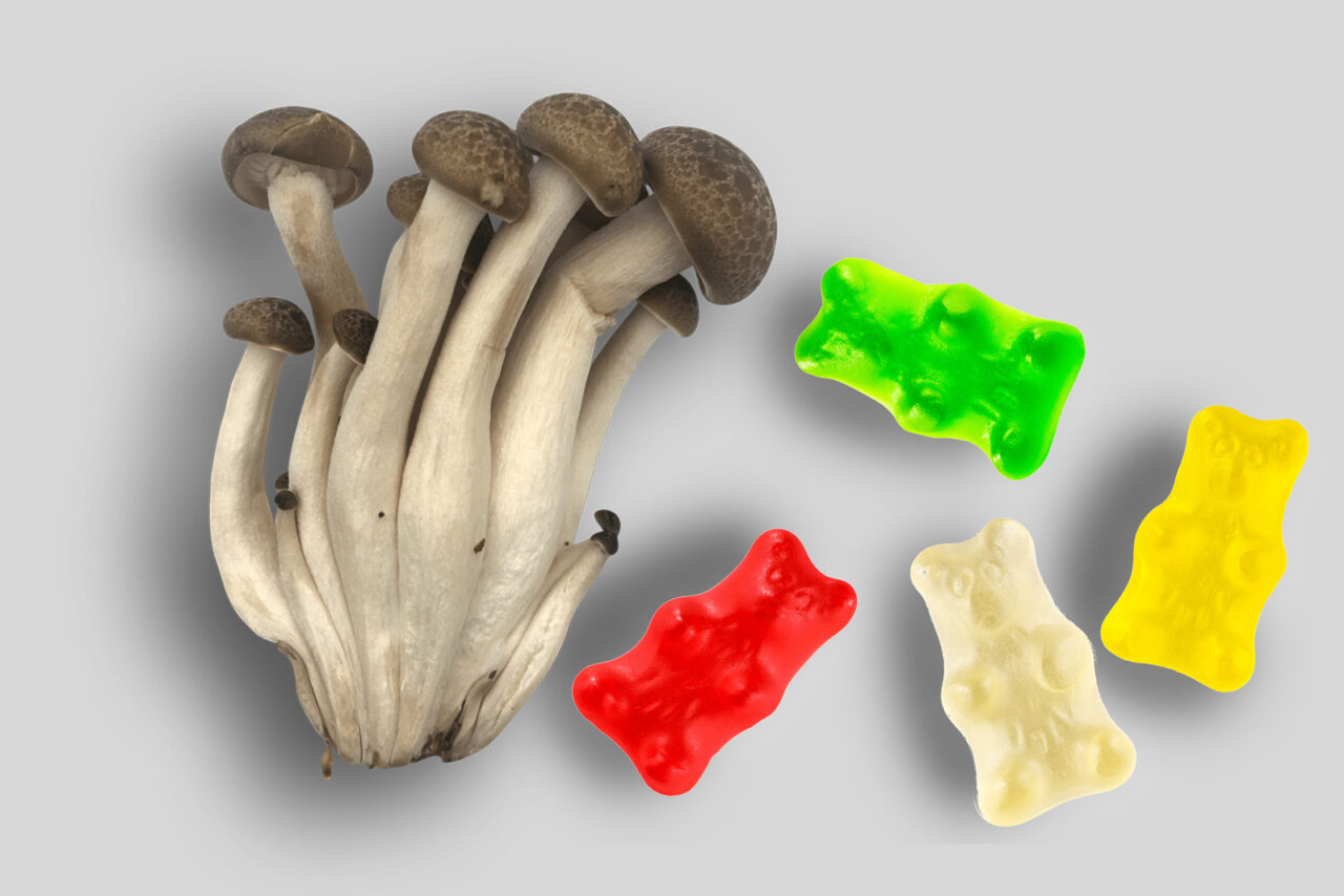 Edibles infused with LSD