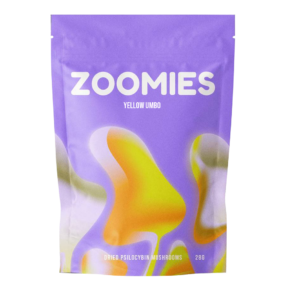 Yellow Umbo | Magic Mushrooms Montreal Canada